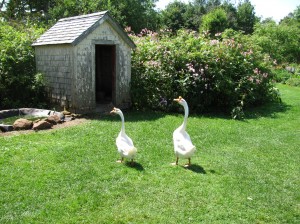 At The Historical Site in Orwell